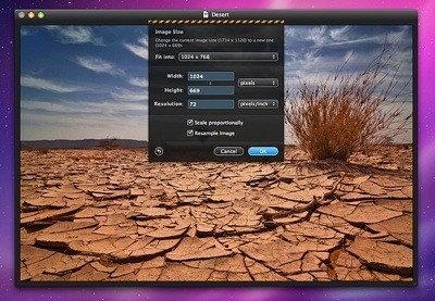 Pixelmator Spider Preview 2
